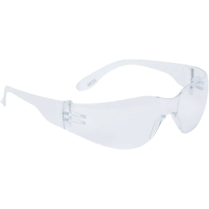 Delta Plus Monobloc Polycarbonate Glasses - BRAVA2 CLEAR